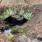 Auf Der Heide *