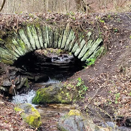 Auf Der Heide *